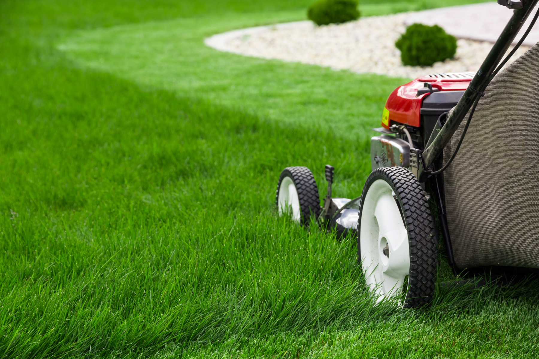 How to Keep Your Lawn Green During Texas Summer Heat